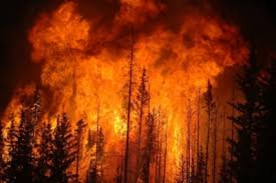 GIORNATA AD ALTO RISCHIO INCENDI - CODICE ROSSO - GIORNATA DEL 14 E 15 LUGLIO 2016