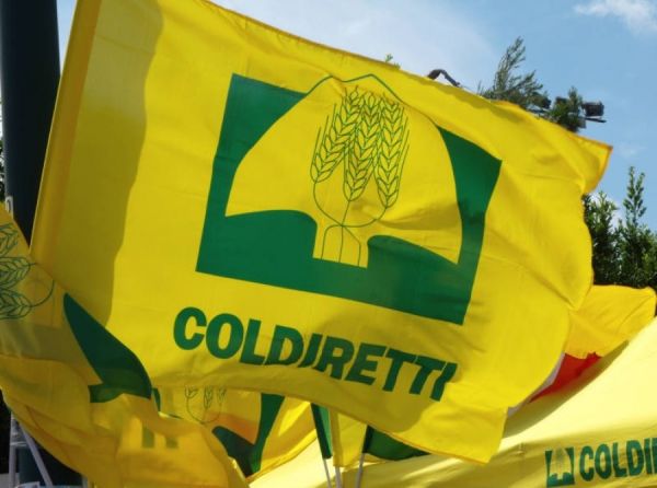 PREDISPOSIZIONE ISEE